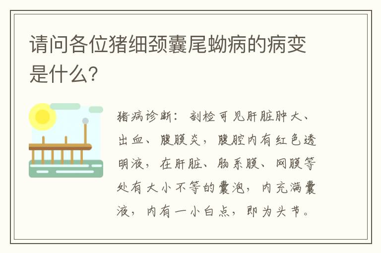 请问各位猪细颈囊尾蚴病的病变是什么？