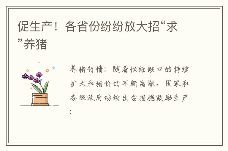 促生产！各省份纷纷放大招“求”养猪