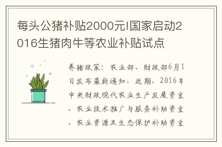 每头公猪补贴2000元!国家启动2016生猪肉牛等农业补贴试点