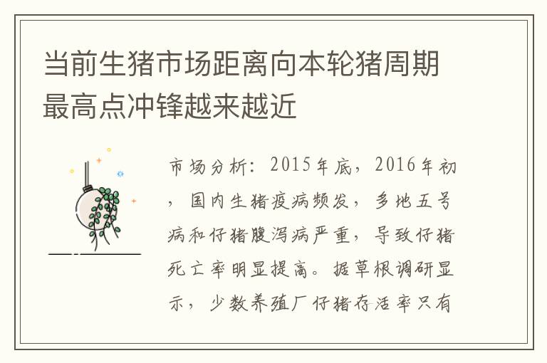 当前生猪市场距离向本轮猪周期最高点冲锋越来越近