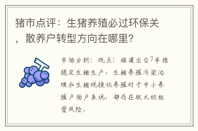 猪市点评：生猪养殖必过环保关，散养户转型方向在哪里？