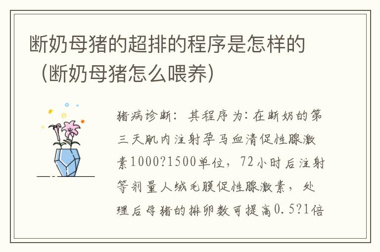 断奶母猪的超排的程序是怎样的（断奶母猪怎么喂养）