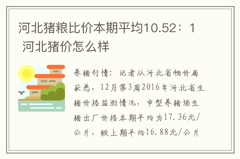 河北猪粮比价本期平均10.52：1 河北猪价怎么样