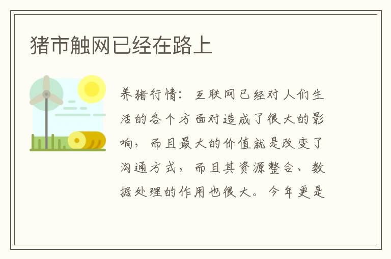 猪市触网已经在路上