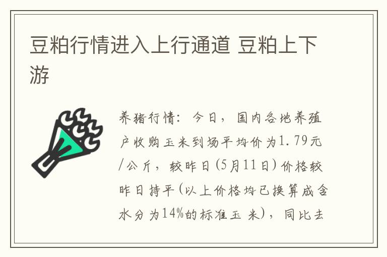 豆粕行情进入上行通道 豆粕上下游