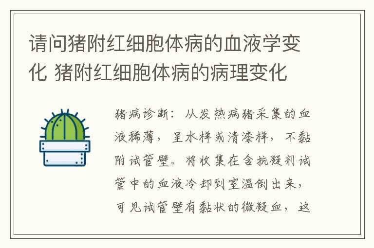 请问猪附红细胞体病的血液学变化 猪附红细胞体病的病理变化