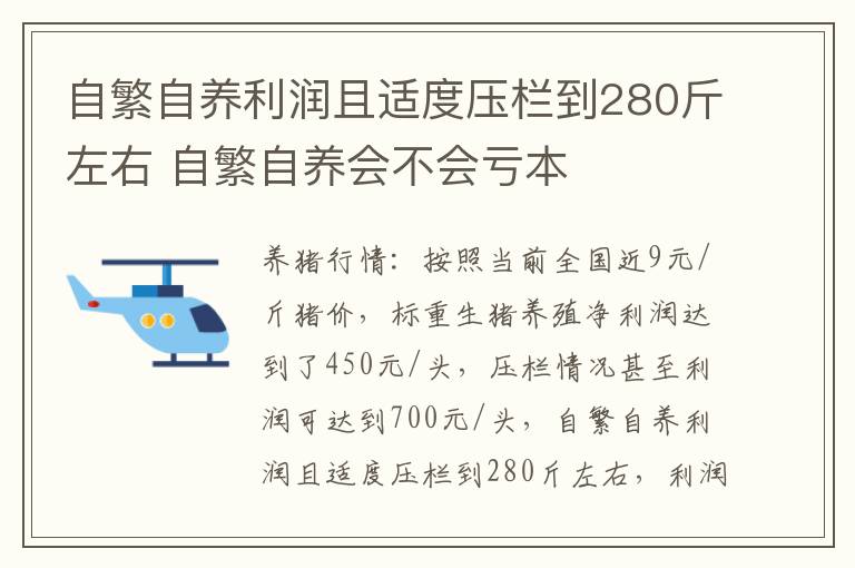 自繁自养利润且适度压栏到280斤左右 自繁自养会不会亏本