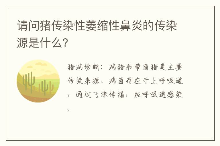 请问猪传染性萎缩性鼻炎的传染源是什么？