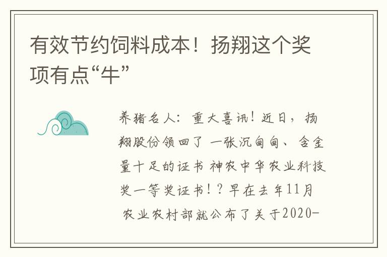 有效节约饲料成本！扬翔这个奖项有点“牛”