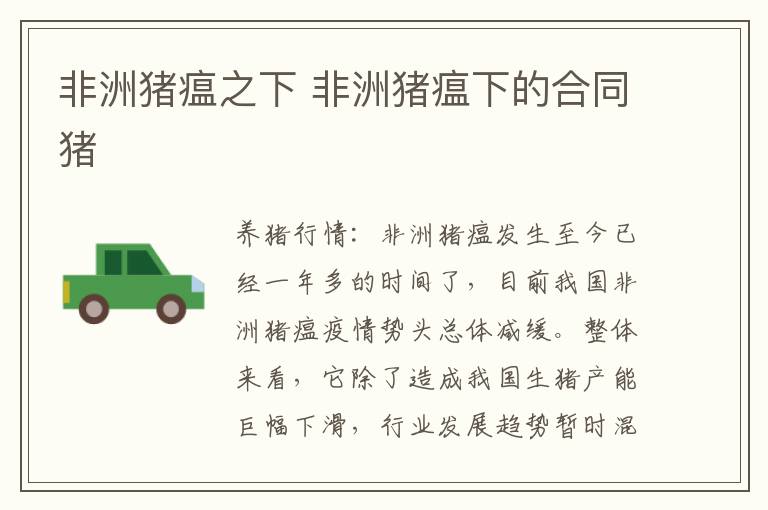 非洲猪瘟之下 非洲猪瘟下的合同猪