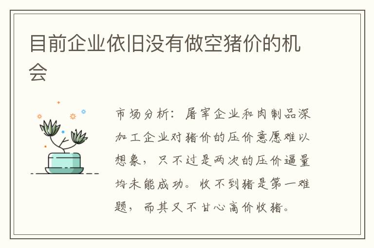 目前企业依旧没有做空猪价的机会