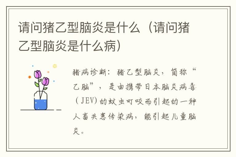 请问猪乙型脑炎是什么（请问猪乙型脑炎是什么病）