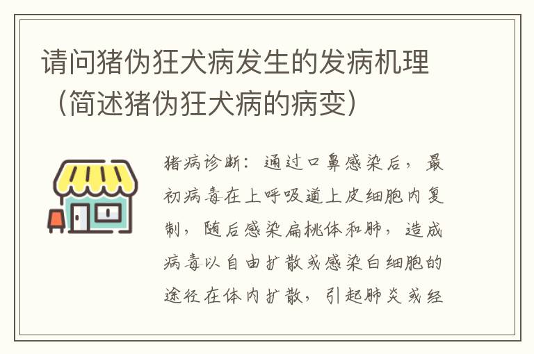 请问猪伪狂犬病发生的发病机理（简述猪伪狂犬病的病变）