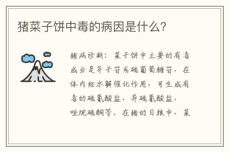 猪菜子饼中毒的病因是什么？