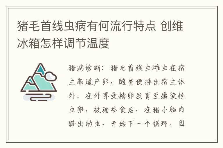 猪毛首线虫病有何流行特点 创维冰箱怎样调节温度