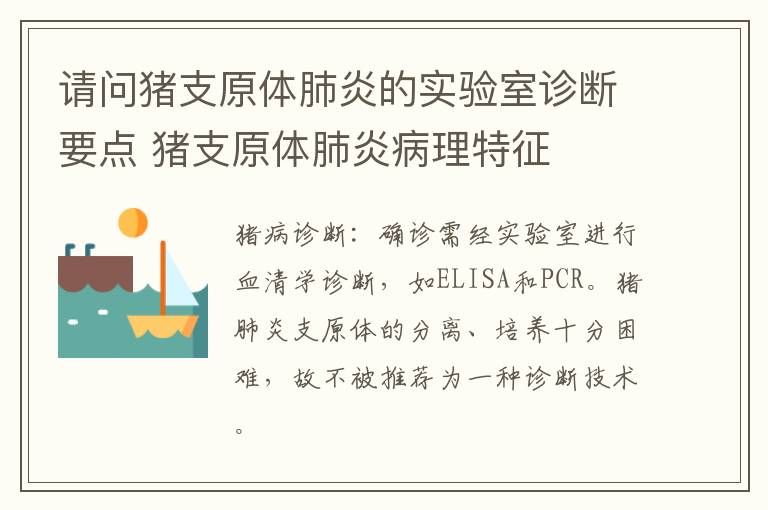 请问猪支原体肺炎的实验室诊断要点 猪支原体肺炎病理特征