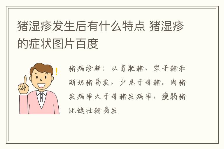 猪湿疹发生后有什么特点 猪湿疹的症状图片百度
