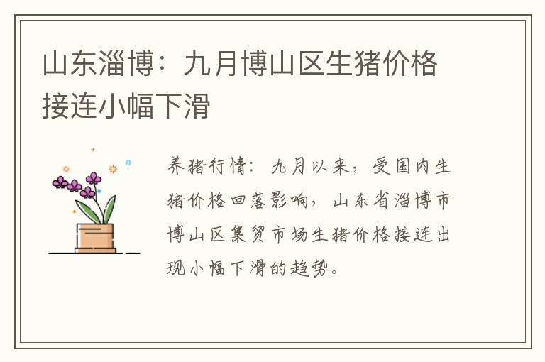 山东淄博：九月博山区生猪价格接连小幅下滑