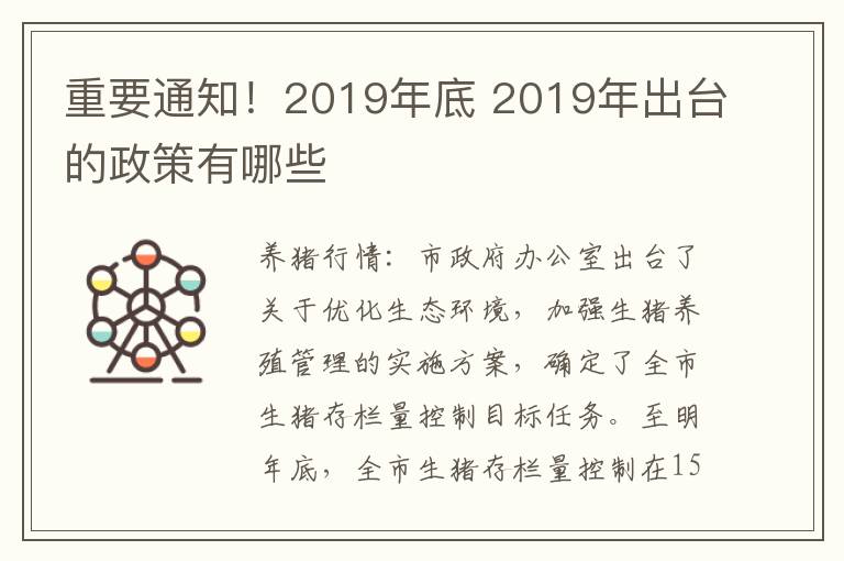 重要通知！2019年底 2019年出台的政策有哪些
