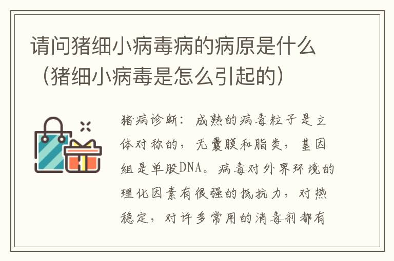 请问猪细小病毒病的病原是什么（猪细小病毒是怎么引起的）