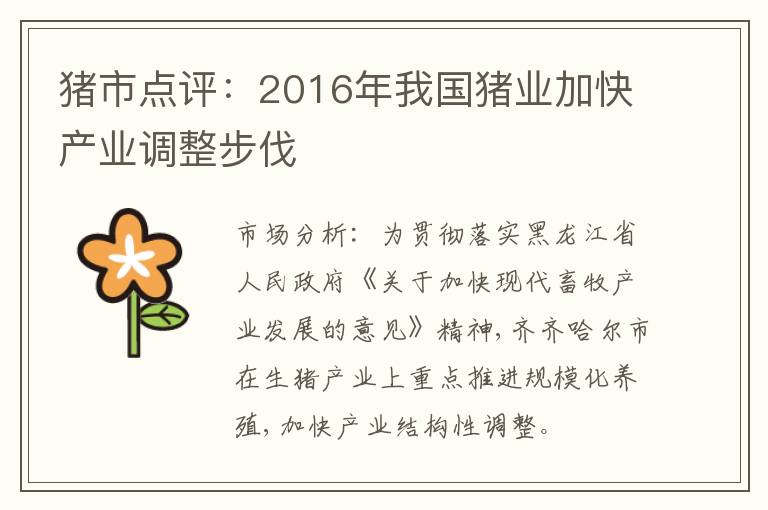 猪市点评：2016年我国猪业加快产业调整步伐