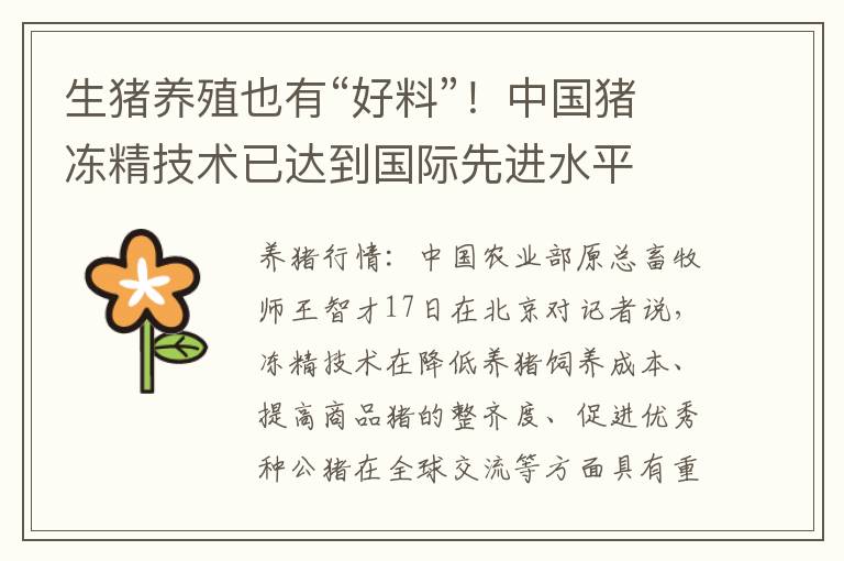 生猪养殖也有“好料”！中国猪冻精技术已达到国际先进水平
