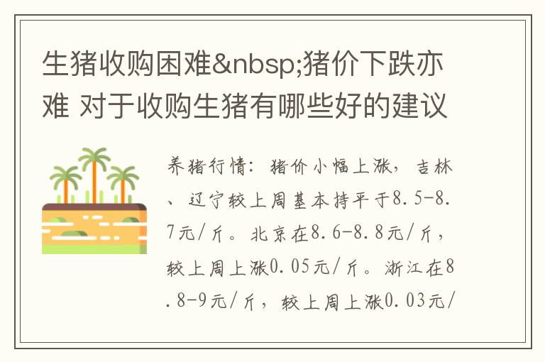 生猪收购困难&nbsp;猪价下跌亦难 对于收购生猪有哪些好的建议