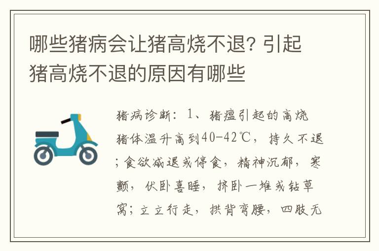 哪些猪病会让猪高烧不退? 引起猪高烧不退的原因有哪些
