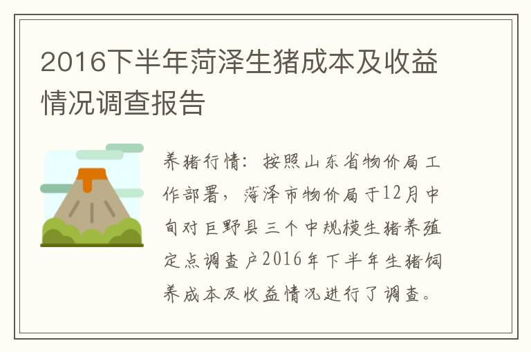 2016下半年菏泽生猪成本及收益情况调查报告