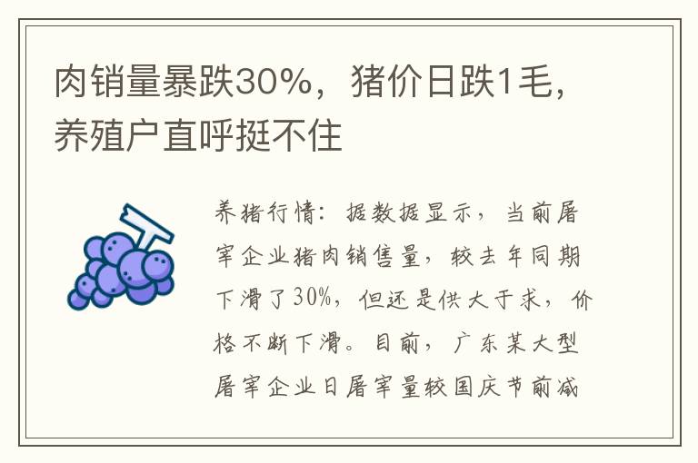 肉销量暴跌30%，猪价日跌1毛，养殖户直呼挺不住