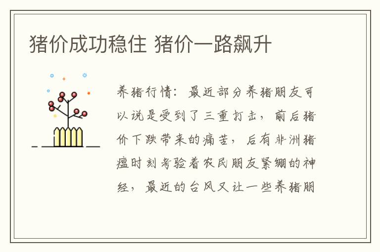 猪价成功稳住 猪价一路飙升