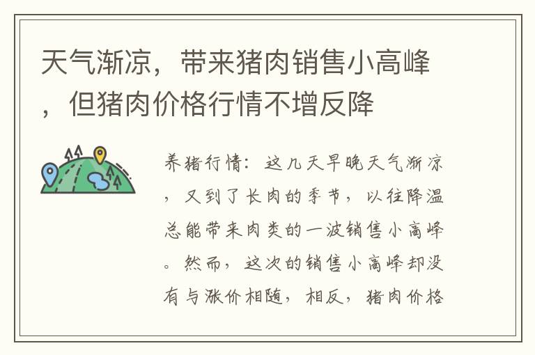 天气渐凉，带来猪肉销售小高峰，但猪肉价格行情不增反降