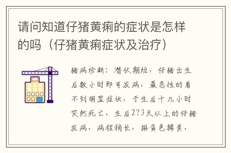 请问知道仔猪黄痢的症状是怎样的吗（仔猪黄痢症状及治疗）