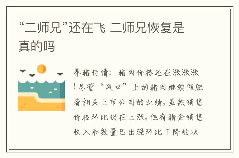 “二师兄”还在飞 二师兄恢复是真的吗