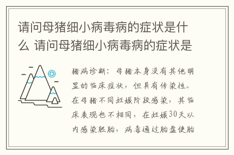 请问母猪细小病毒病的症状是什么 请问母猪细小病毒病的症状是什么呢
