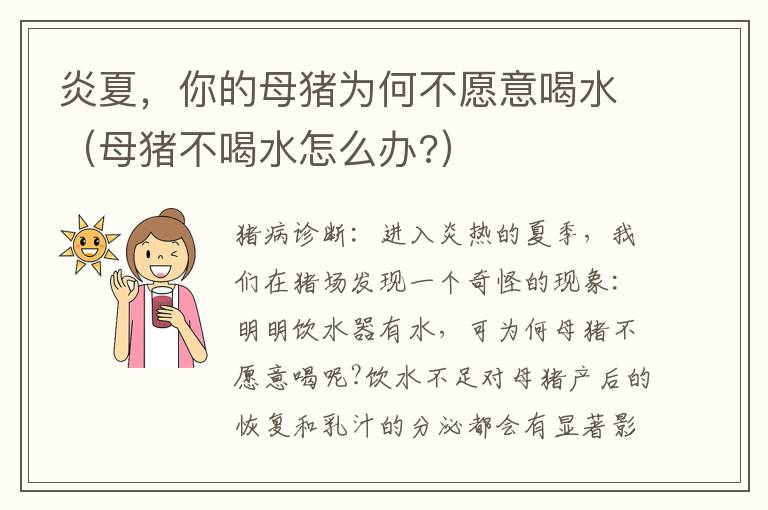 炎夏，你的母猪为何不愿意喝水（母猪不喝水怎么办?）