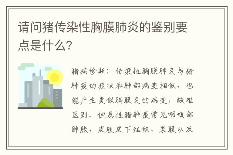 请问猪传染性胸膜肺炎的鉴别要点是什么？