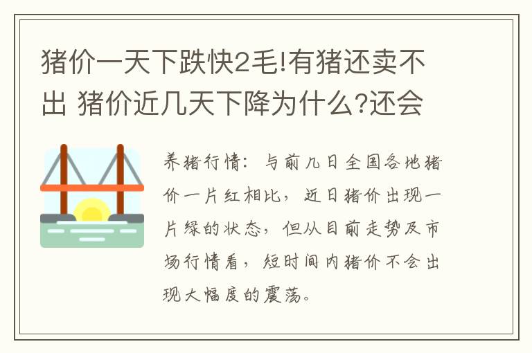 猪价一天下跌快2毛!有猪还卖不出 猪价近几天下降为什么?还会继续上涨吗?