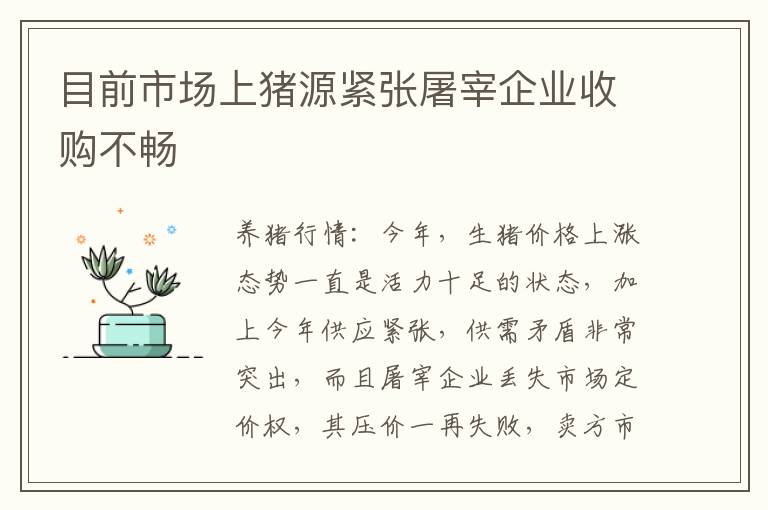 目前市场上猪源紧张屠宰企业收购不畅