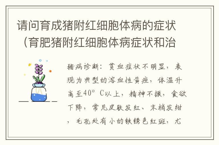 请问育成猪附红细胞体病的症状（育肥猪附红细胞体病症状和治疗）