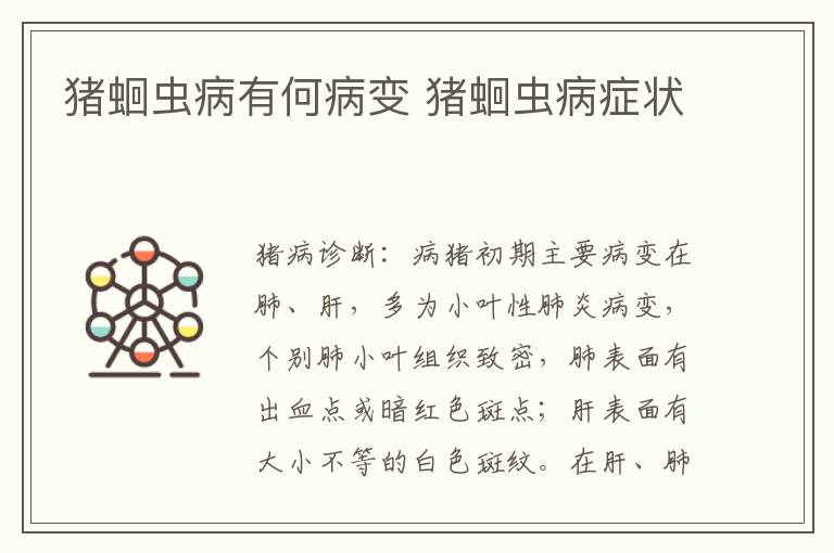 猪蛔虫病有何病变 猪蛔虫病症状