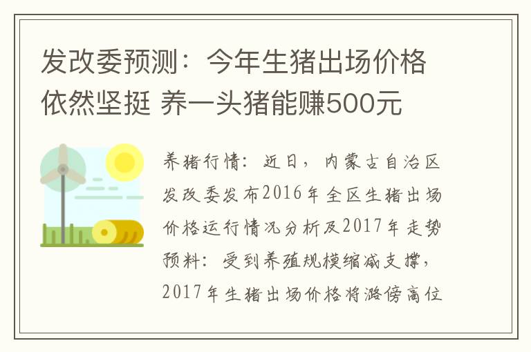 发改委预测：今年生猪出场价格依然坚挺 养一头猪能赚500元
