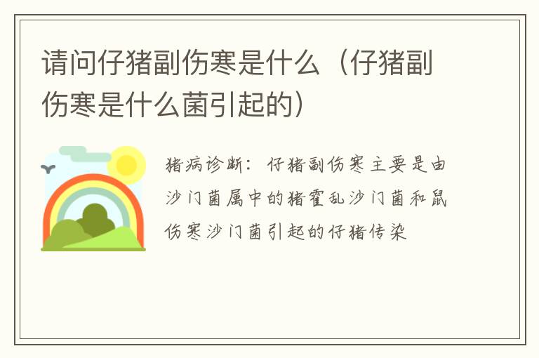 请问仔猪副伤寒是什么（仔猪副伤寒是什么菌引起的）