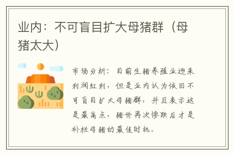 业内：不可盲目扩大母猪群（母猪太大）