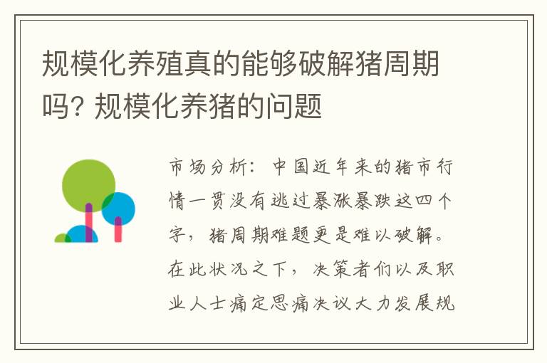 规模化养殖真的能够破解猪周期吗? 规模化养猪的问题