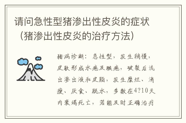 请问急性型猪渗出性皮炎的症状（猪渗出性皮炎的治疗方法）