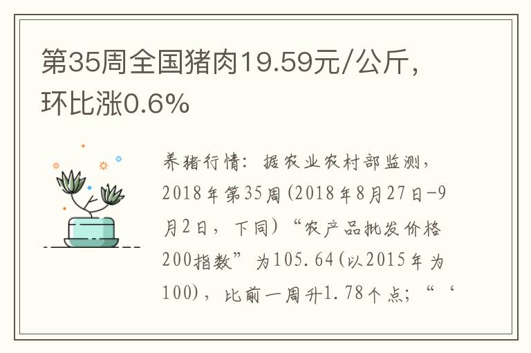 第35周全国猪肉19.59元/公斤，环比涨0.6%