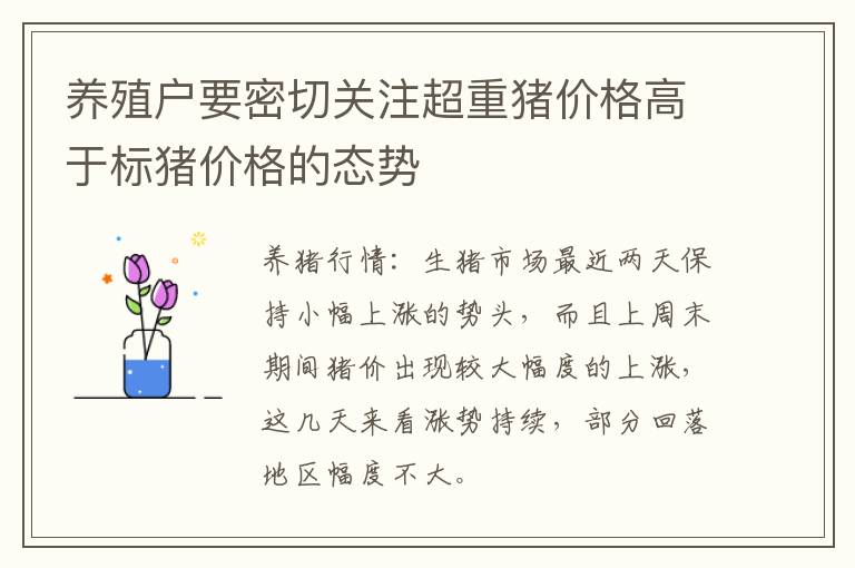 养殖户要密切关注超重猪价格高于标猪价格的态势