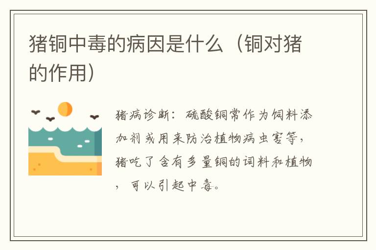 猪铜中毒的病因是什么（铜对猪的作用）
