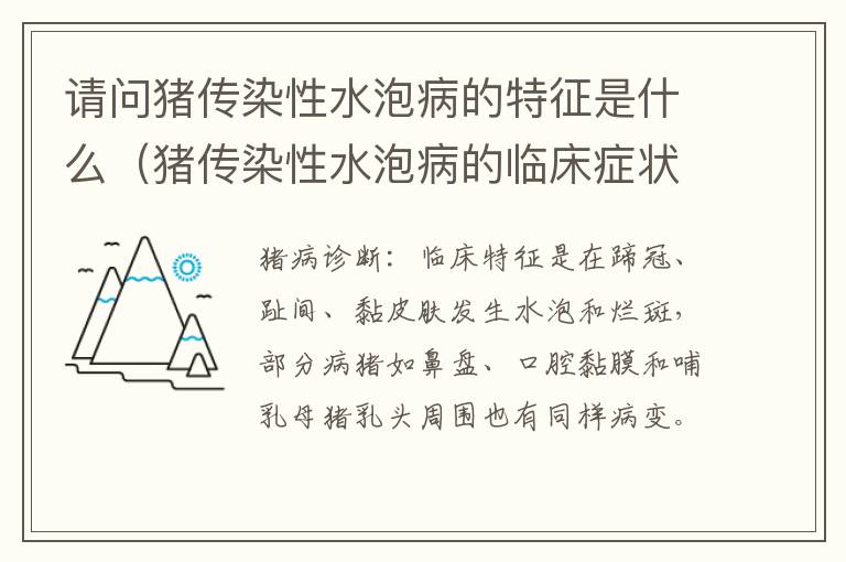 请问猪传染性水泡病的特征是什么（猪传染性水泡病的临床症状与什么相似）
